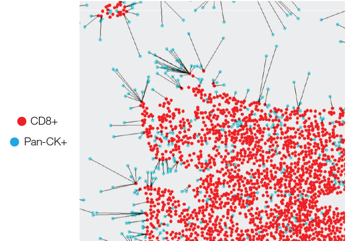 Analyse du plus proche voisin